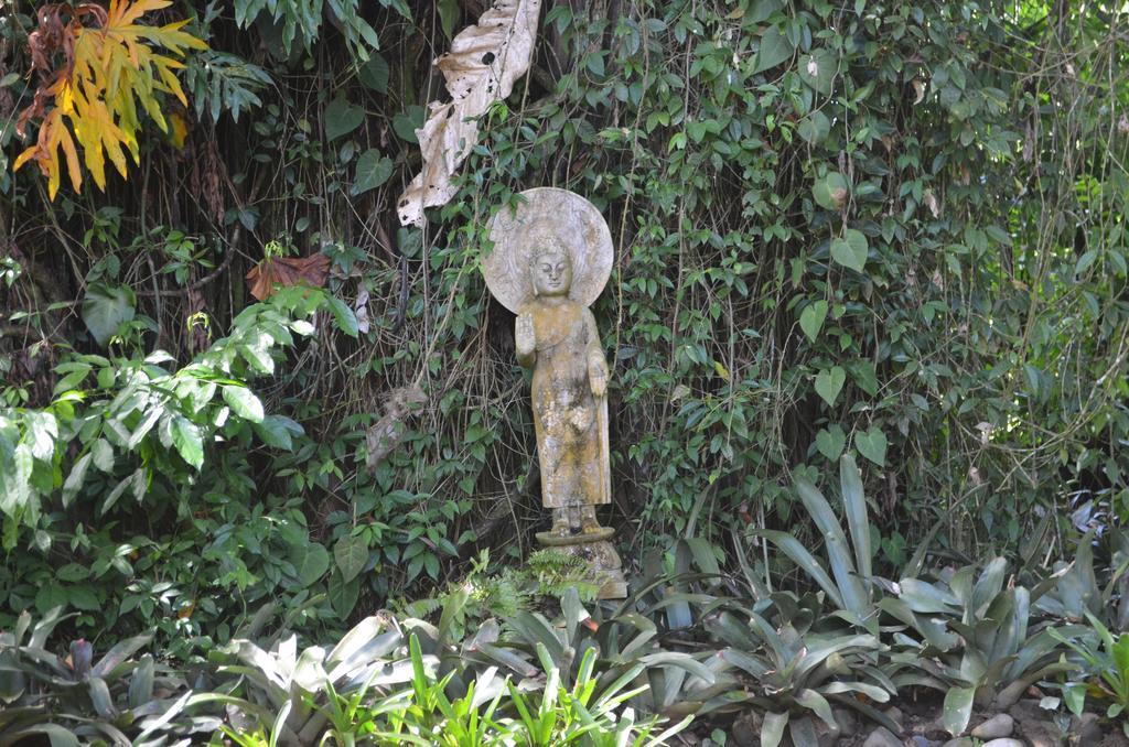 Lanna Ban Hotel Puerto Viejo de Talamanca Buitenkant foto